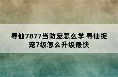 寻仙7877当防宠怎么学 寻仙捉宠7级怎么升级最快